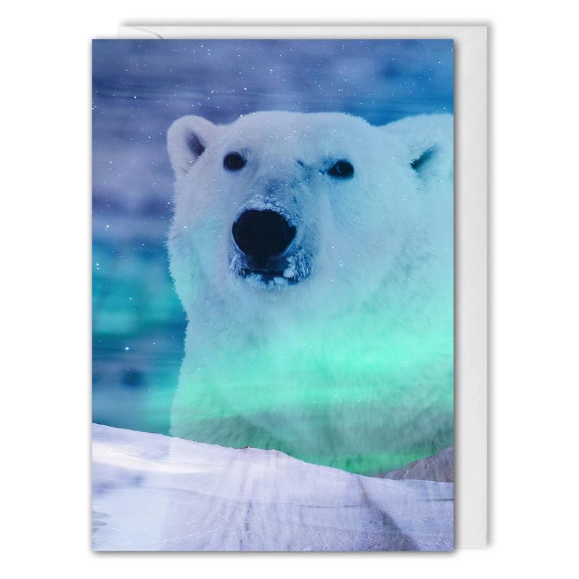 Custom Business Christmas Card - Northern Lights Polar Bear