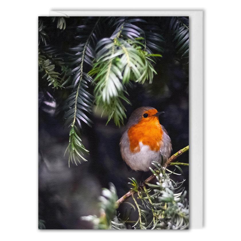 Robin Christmas Card For Business Custom