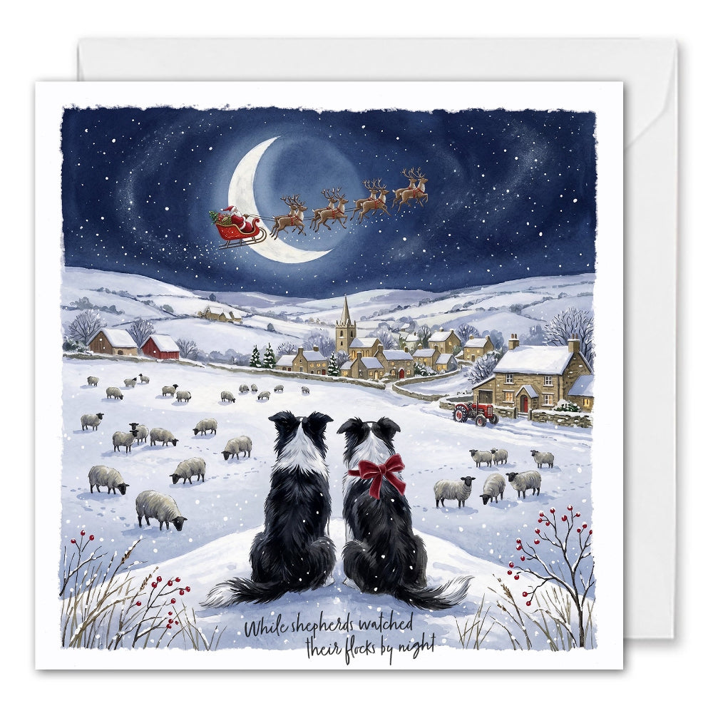 Corporate Christmas Cards - Border Collie Dogs - Farm Scene
