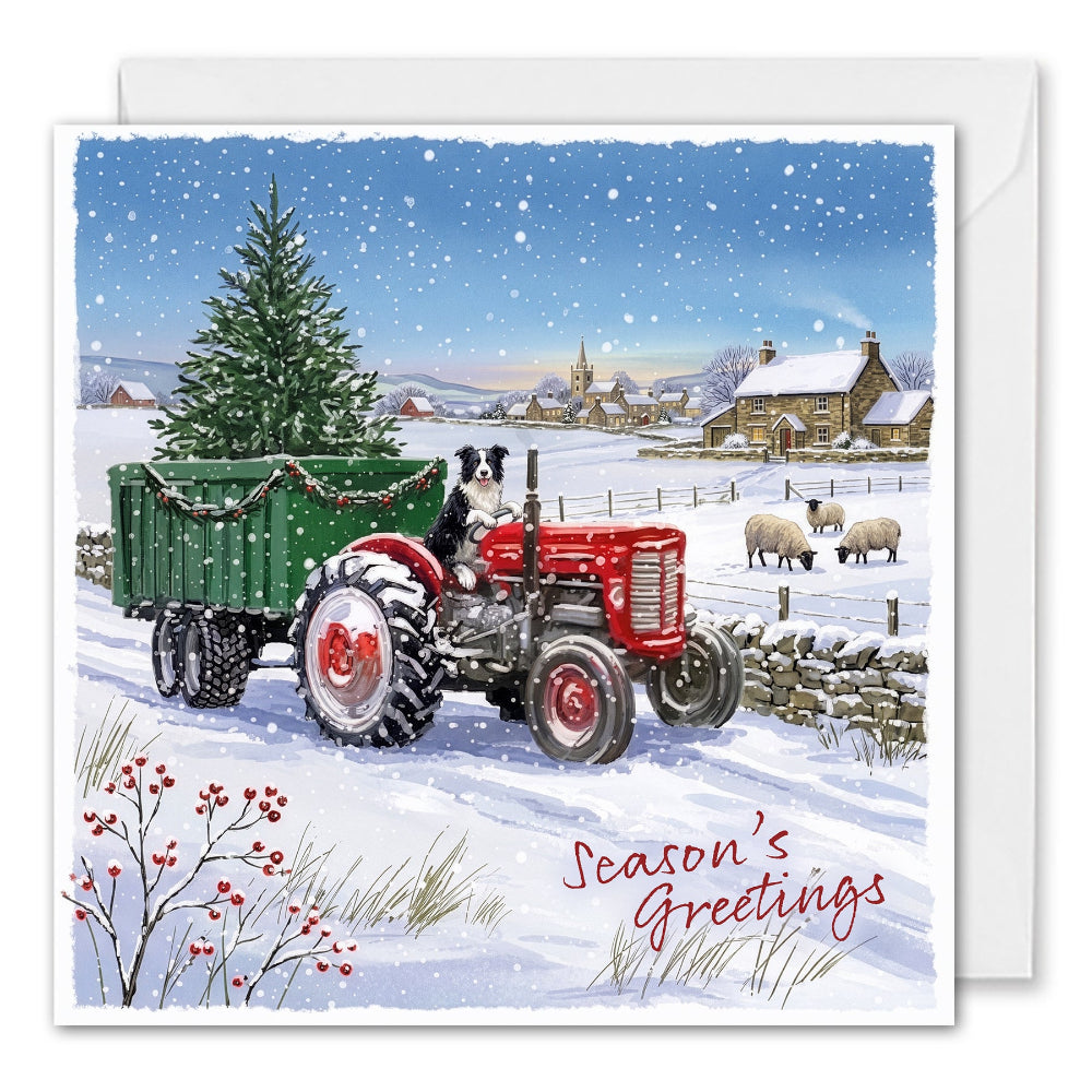 Corporate Christmas Cards - Border Collie Riding Farm Tractor 
