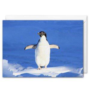 Custom Christmas Card For Business Arctic Penguin 