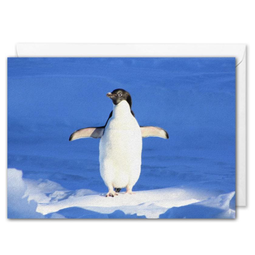 Custom Christmas Card For Business Arctic Penguin 
