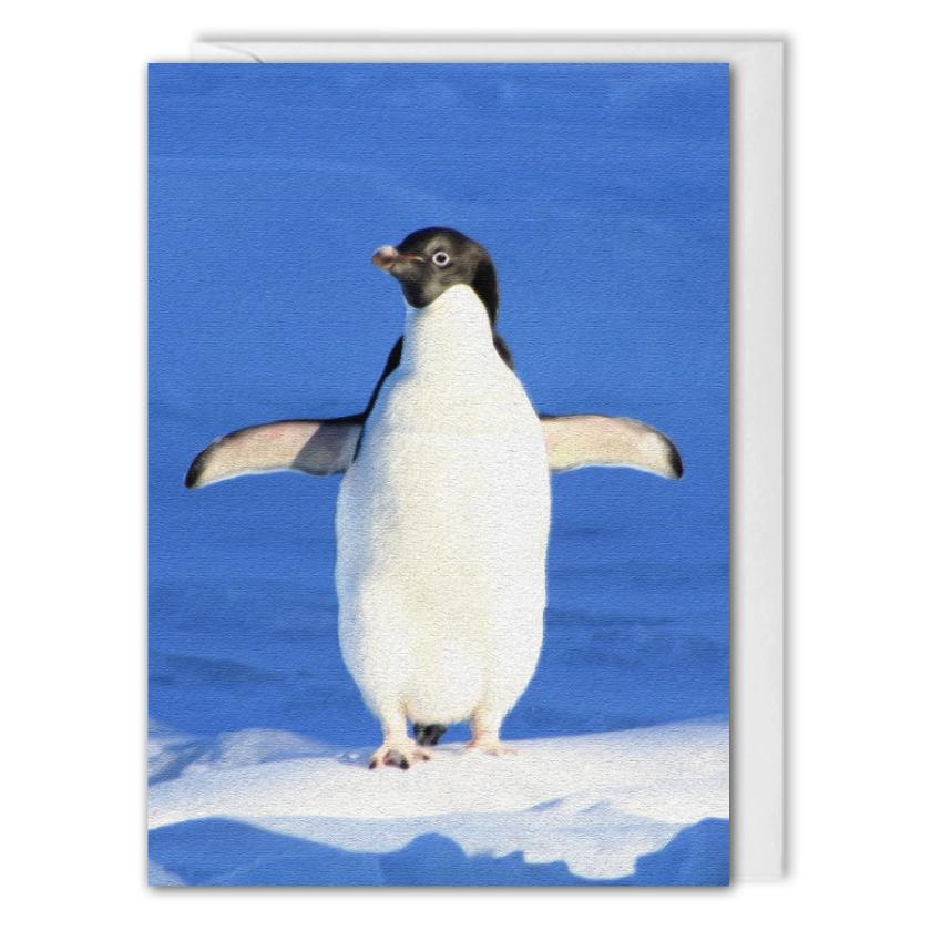 Custom Business Christmas Card - Arctic Penguin 