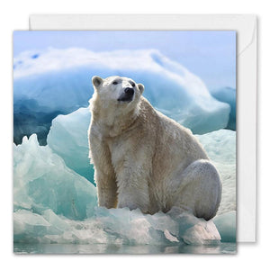 Custom Corporate Christmas Card - Arctic Polar Bear 