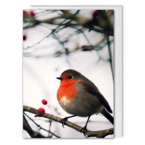 Custom Business Christmas Card - Red Robin 