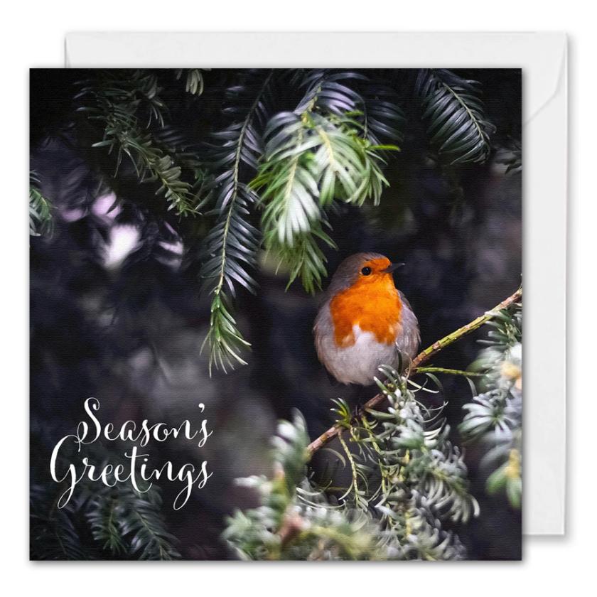 Custom Corporate Christmas Card Robin 