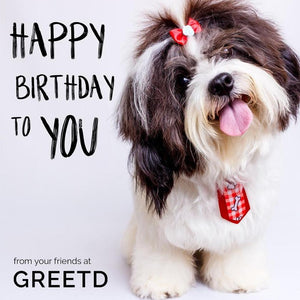 Cute Dog Business Birthday Card 