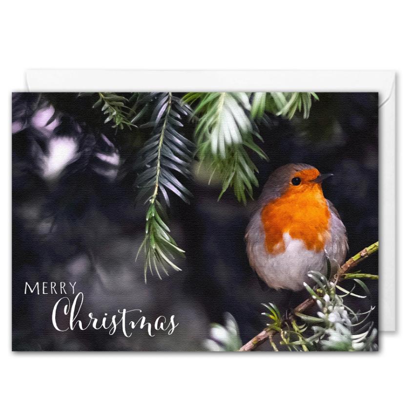 Merry Christmas Card For Business - Red Robin