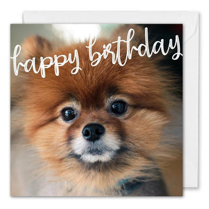 Cute Dog Birthday Card For Business 