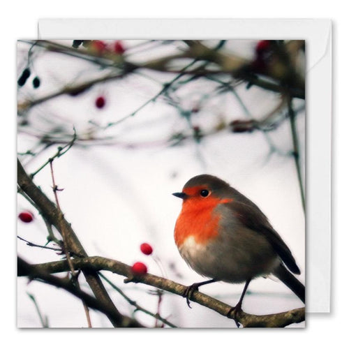 Personalised Corporate Christmas Card - Red Robin